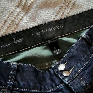 Lane Bryant, Like New, TTT Skinny, 24S